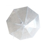 clear umbrella transparent